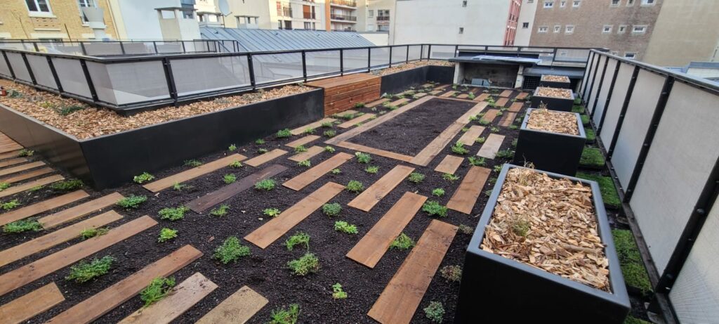 toit-terrasse en bois paris ile de france menuiserie perif