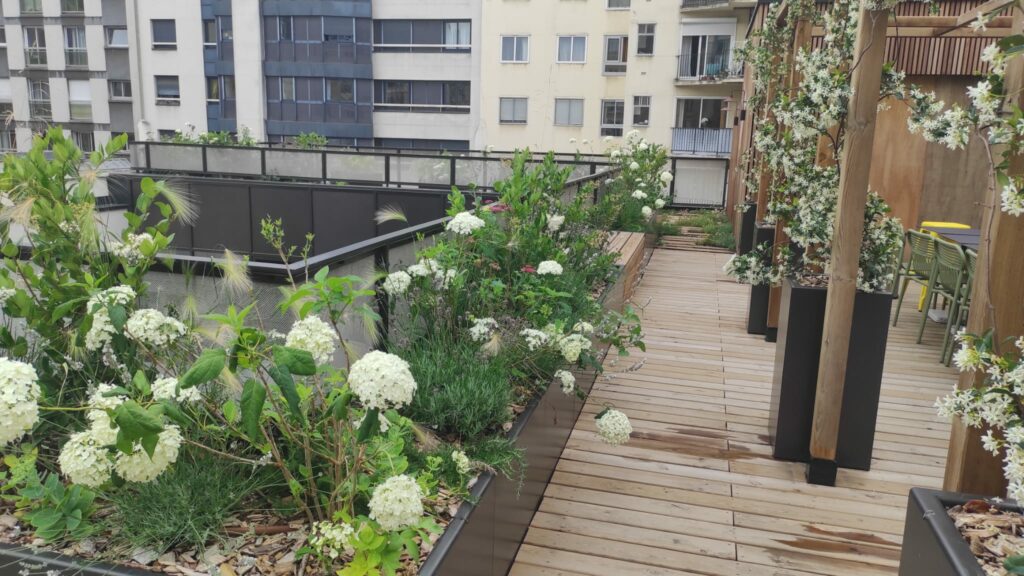 toit-terrasse en bois paris ile de france menuiserie perif